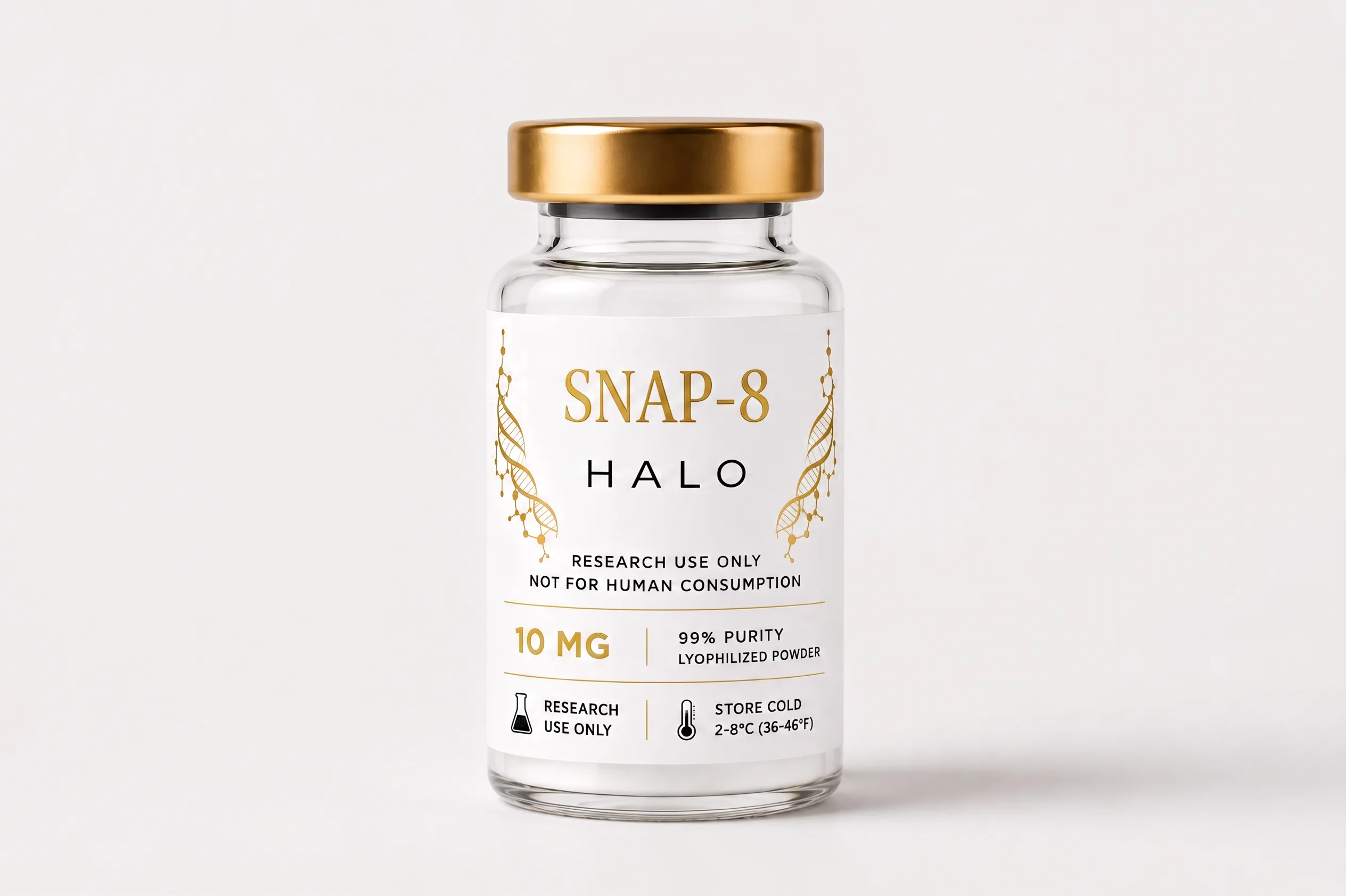 SNAP-8